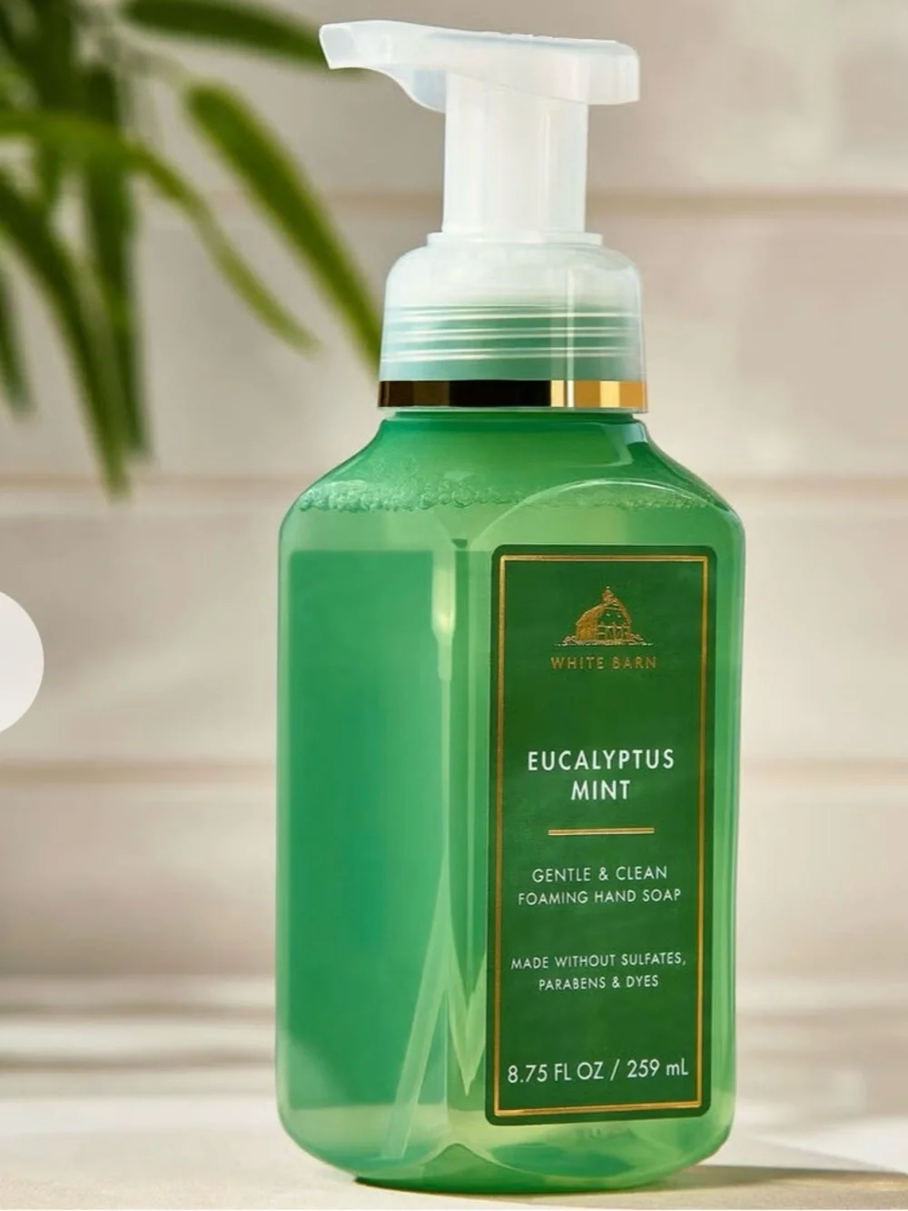 White Barn Eucalyptus Mint Gentle & Clean Foaming Hand Soap - 8.75 oz
